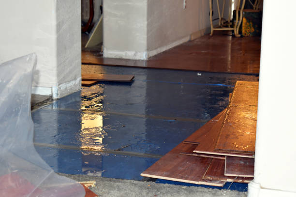 Professional Burst Pipe Cleanup technician working in Pflugerville, TX